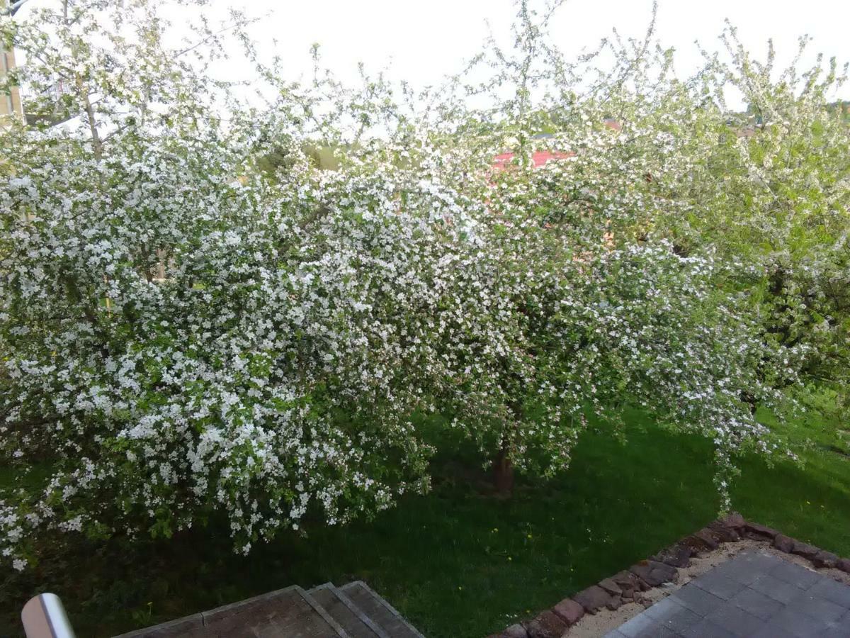 Ferienwohnung Barzen Ralingen Esterno foto